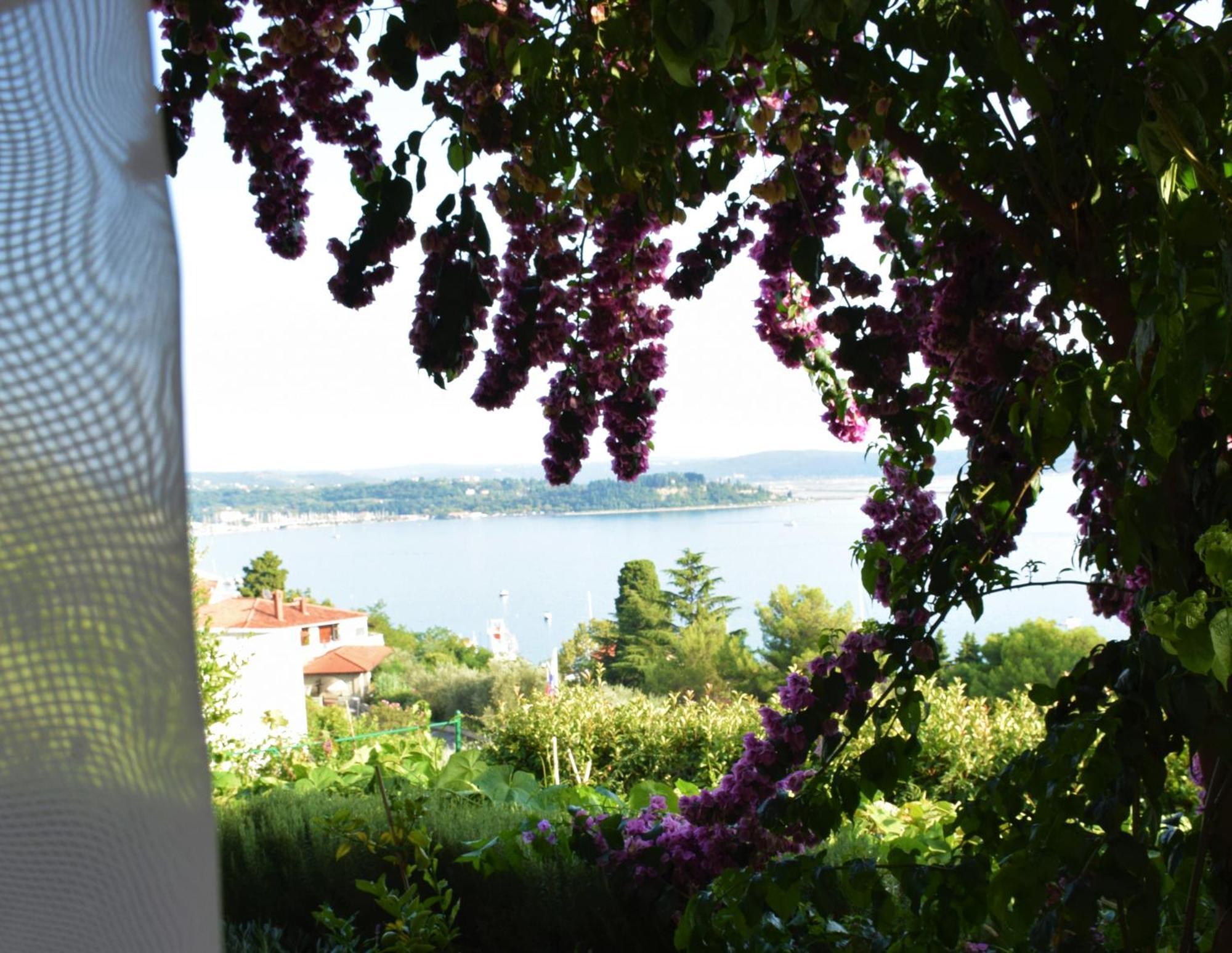 Apartments Fink Portoroz Bagian luar foto