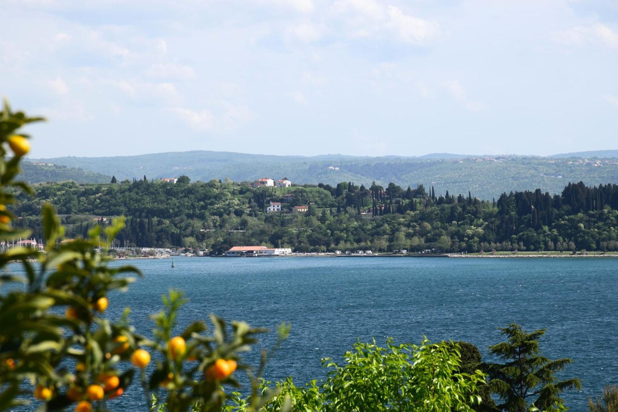 Apartments Fink Portoroz Bagian luar foto